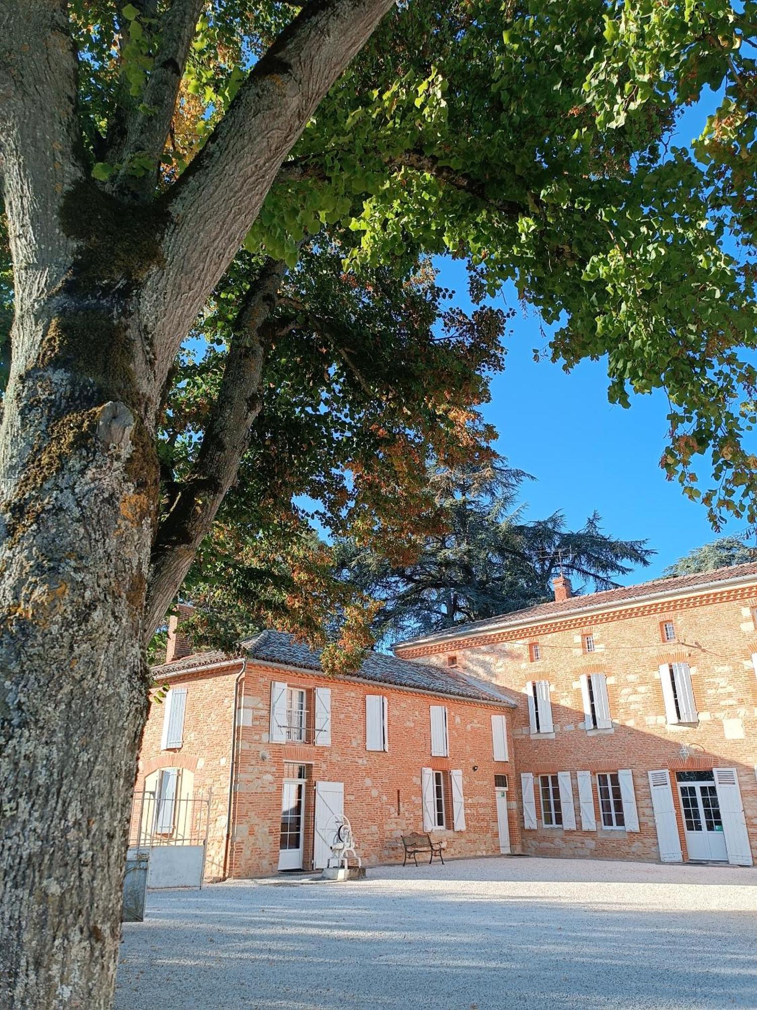 Отель Le Jardin Des Cedres Лавор Экстерьер фото